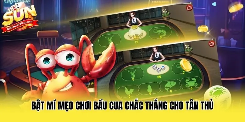 Bật mí mẹo chơi bầu cua chắc thắng cho tân thủ