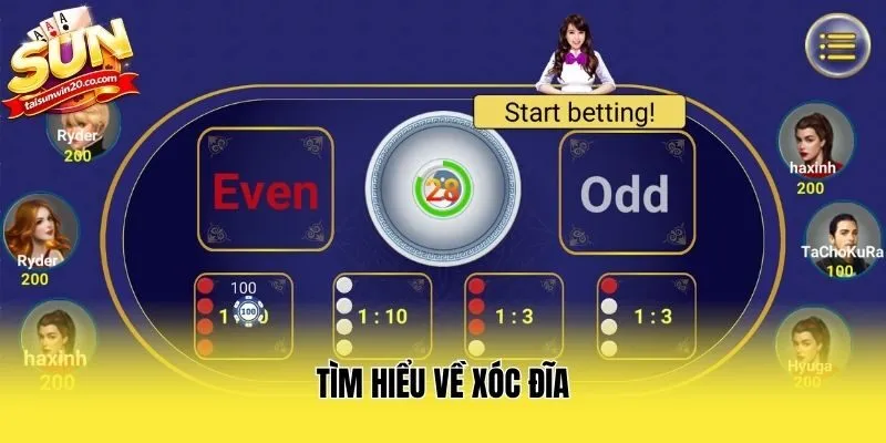 Tìm hiểu về xóc đĩa